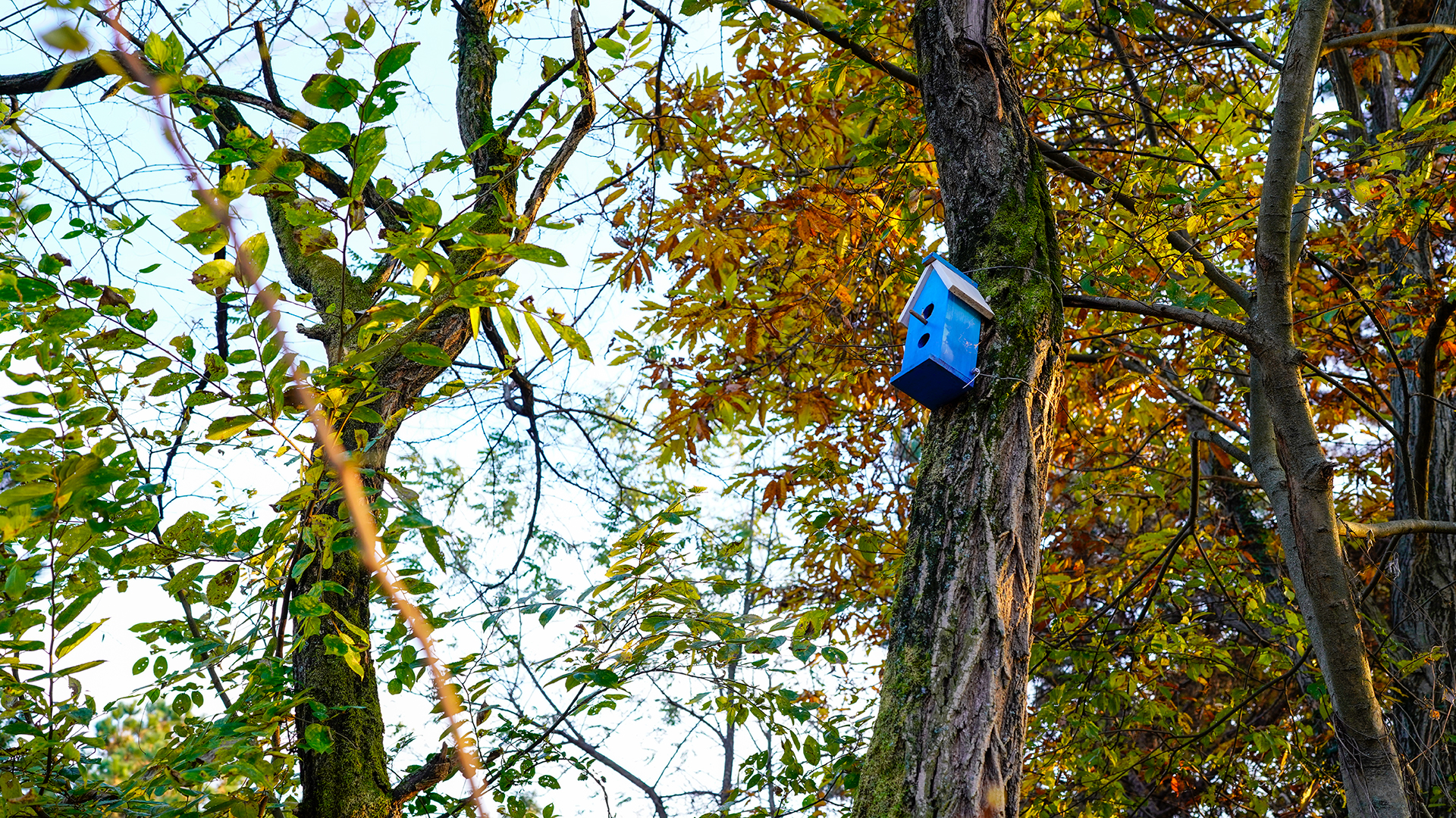 용두산생태공원